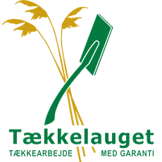 Tækkelauget